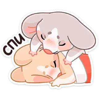 😴