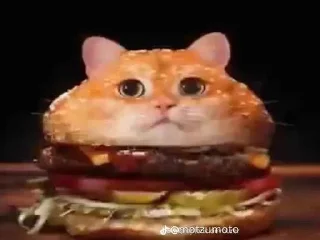 🍔
