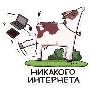 🙅‍♂️