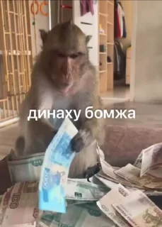 🌟