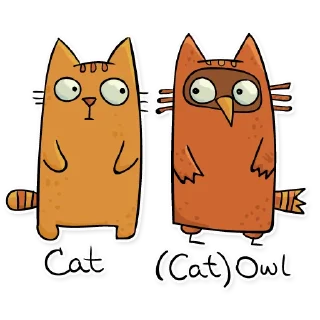 😺