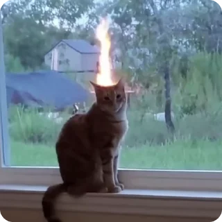 🔥