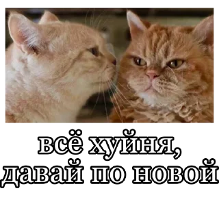 😒