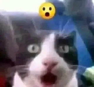 😦