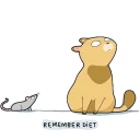 🐱