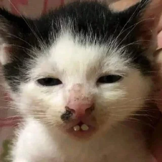 🤓