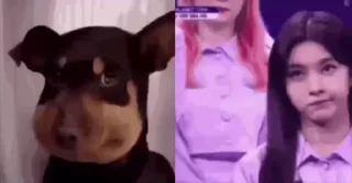🤩