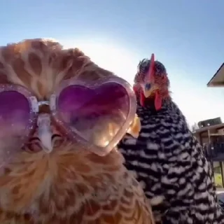 😎