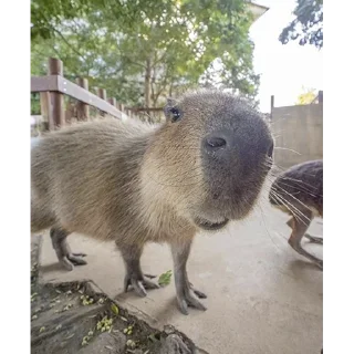 🙂