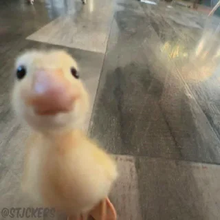 😍