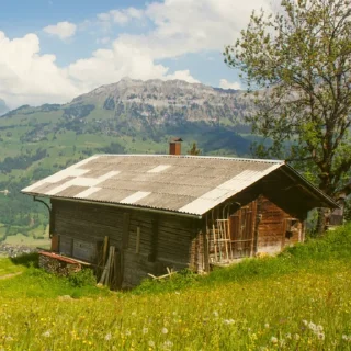 🏚️