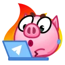 💻