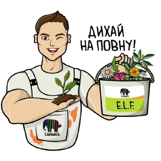 🌱