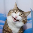 😄
