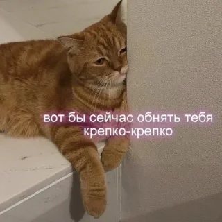 😞