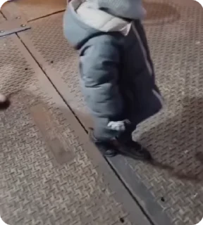 🌟