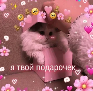 🎁