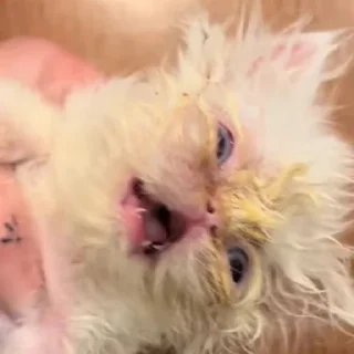 😱