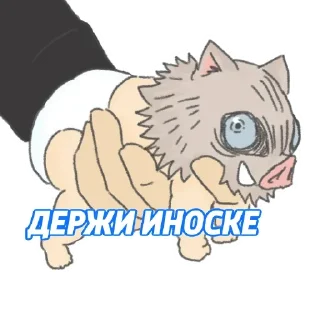 😹