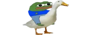 🦆