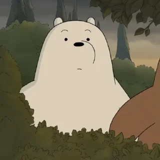 ⭐