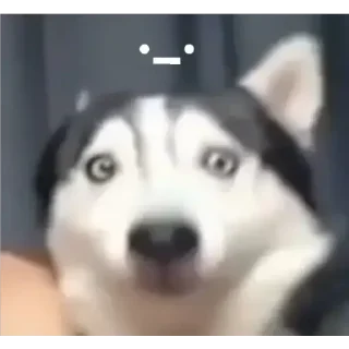 😧