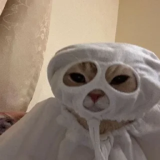 👻