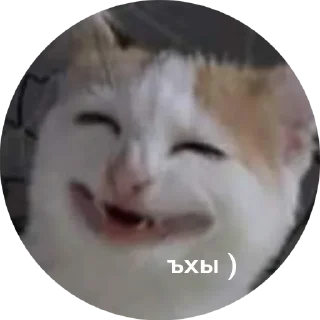 😁