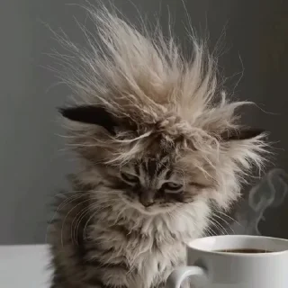 ☕️