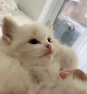 💋