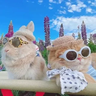 ❤️