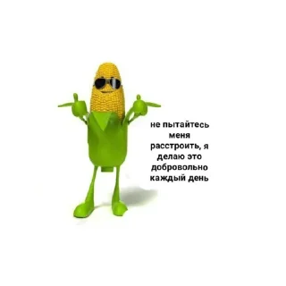 😎