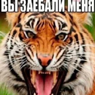 😟