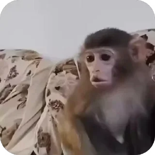 🤩