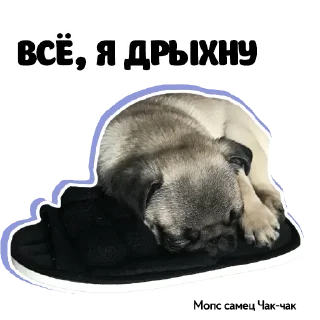 😴