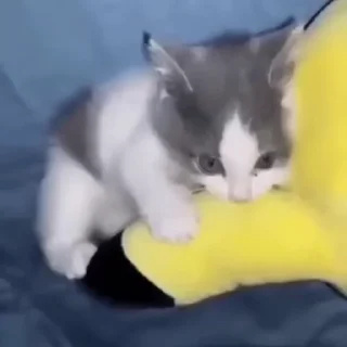 😡