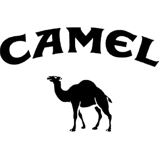 🐪
