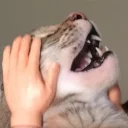 👐