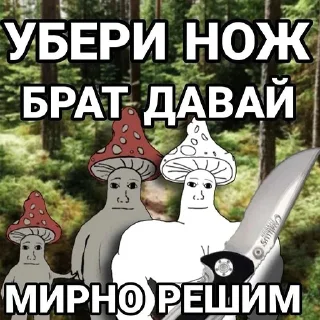 🍄