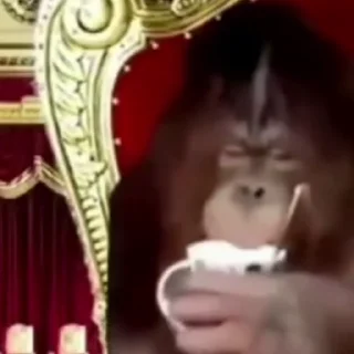 ☕️