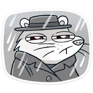 ☔️