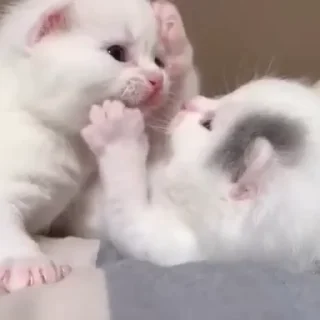 🥰