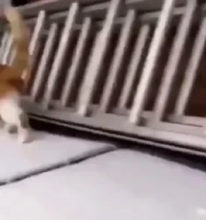 😯