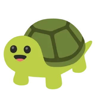 🐢