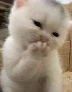 🤭