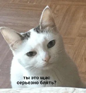 🤔