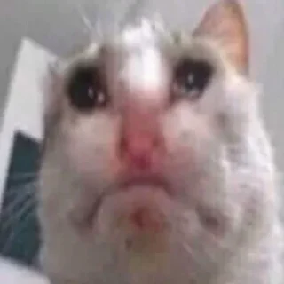 😭