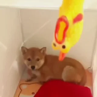 😱