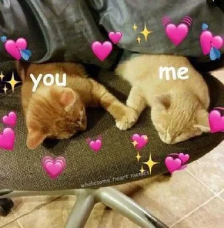 💞