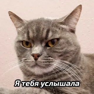 😐